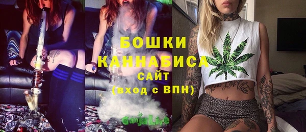 эйфоретик Дмитров
